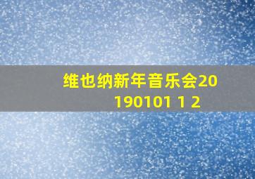 维也纳新年音乐会20190101 1 2